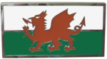 Wales Badge